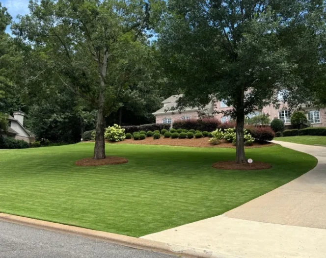 Choose a Landscaping Contractor You Can Depend On image