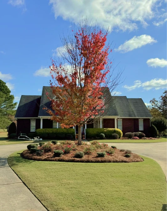 Landscaping Services 1