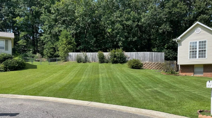 Landscaping Services 2