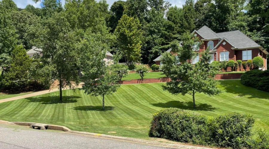 Lawn Mowing 2 Lawn Mowing 2