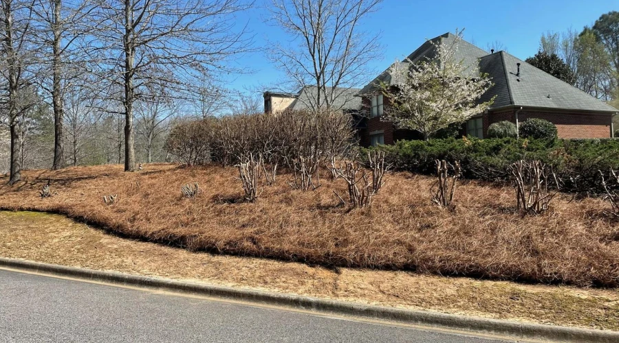 Mulch & Pine Straw Installation 2 Mulch & Pine Straw Installation 2